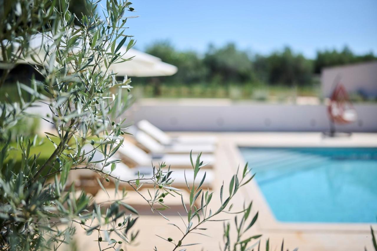 Villa Pura Vida With Pool And Whirlpool Near Umag Materada المظهر الخارجي الصورة